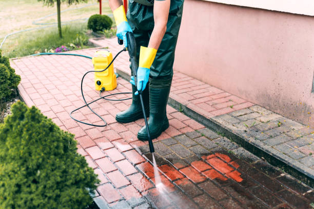 Best Dumpster Area Cleaning  in Thornton, IL